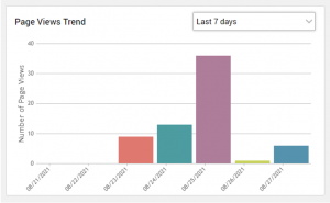 Page Views Trend Widget