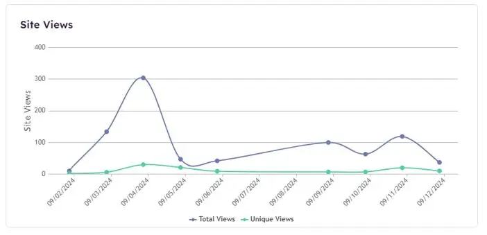 analytics-site-views-report.png